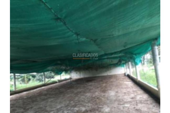 Fincas y Casas Campestres, Venta, Guacarí - $1.000.000.000