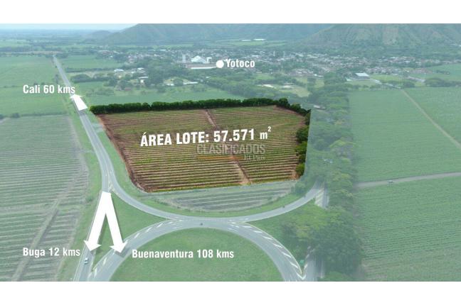 Lotes, Venta, Yotoco - $8.635.650.000