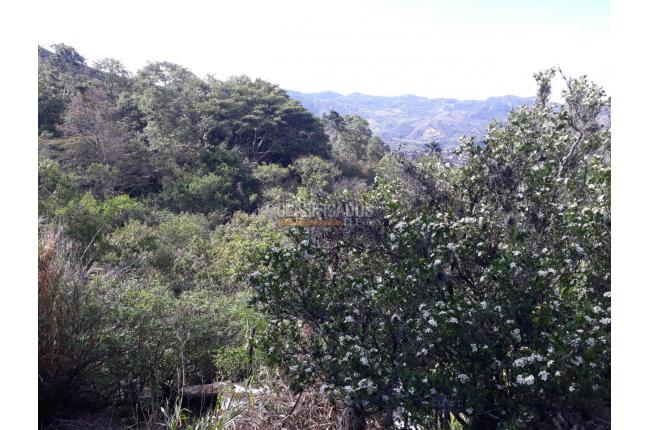 Lotes, Venta, El Mameyal - $3.000.000.000