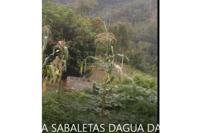 Fincas y Casas Campestres, Venta, Dagua - $850.000.000