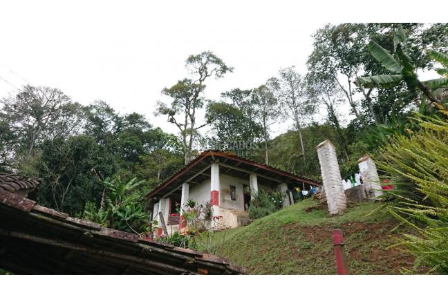 Fincas y Casas Campestres, Venta, El Saladito - $2.100.000.000