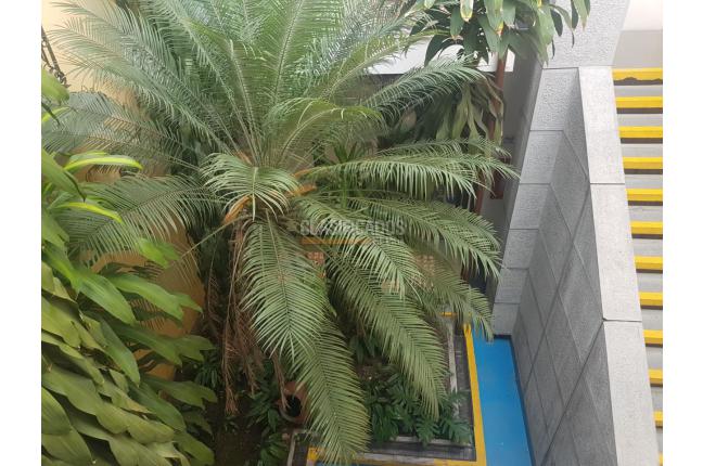 Casas, Venta, La Merced - $2.200.000.000