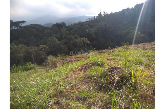 Lotes, Venta, Los Andes - $1.540.725.000