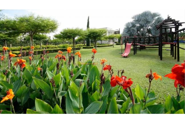 Fincas y Casas Campestres, Venta, Palmira - $3.300.000.000