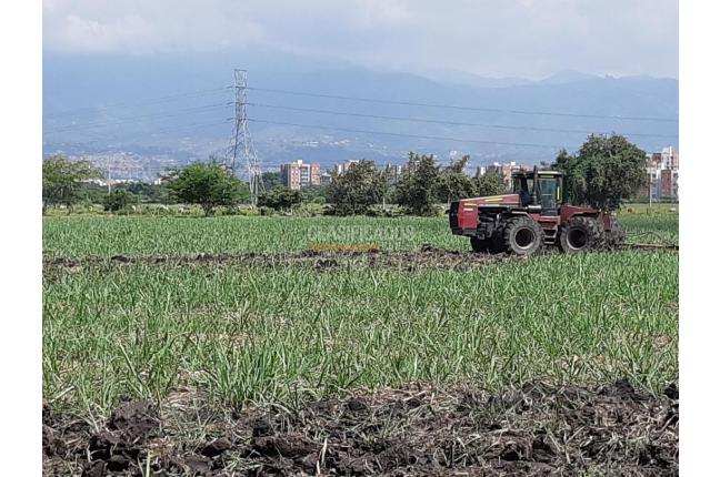 Lotes, Venta, Valle del Lili - $16.000.000.000