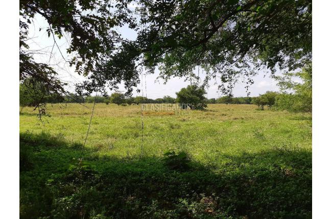 Lotes, Venta, Valle del Lili - $16.000.000.000