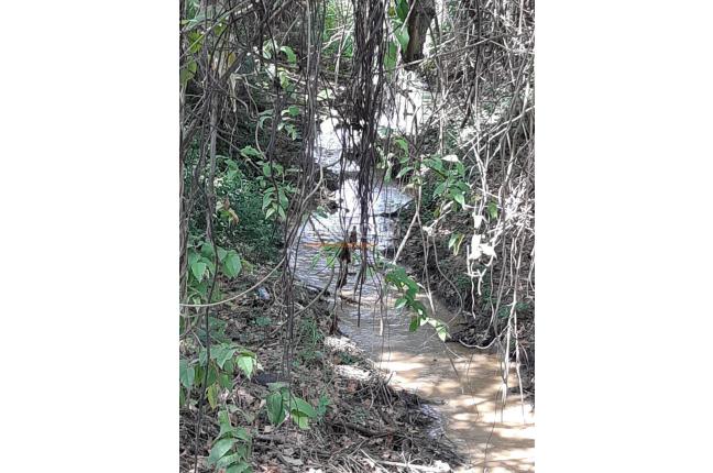 Lotes, Venta, Valle del Lili - $16.000.000.000