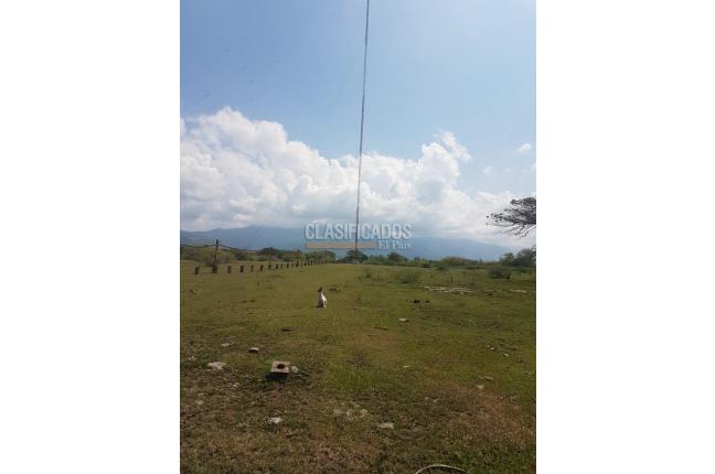 Fincas y Casas Campestres, Venta, Palmira - $1.800.000.000