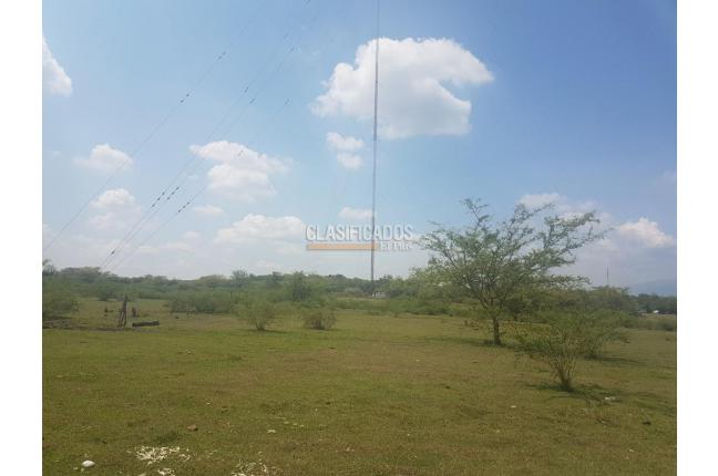 Fincas y Casas Campestres, Venta, Palmira - $1.800.000.000