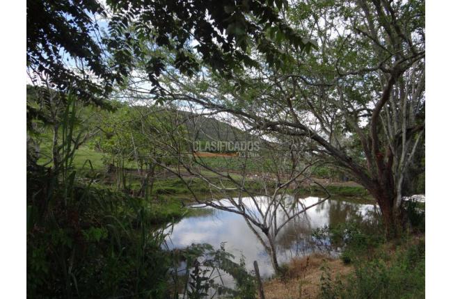 Fincas y Casas Campestres, Venta, Bolívar - $2.800.000.000