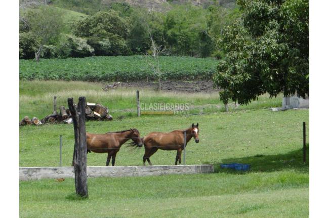 Fincas y Casas Campestres, Venta, Bolívar - $2.800.000.000