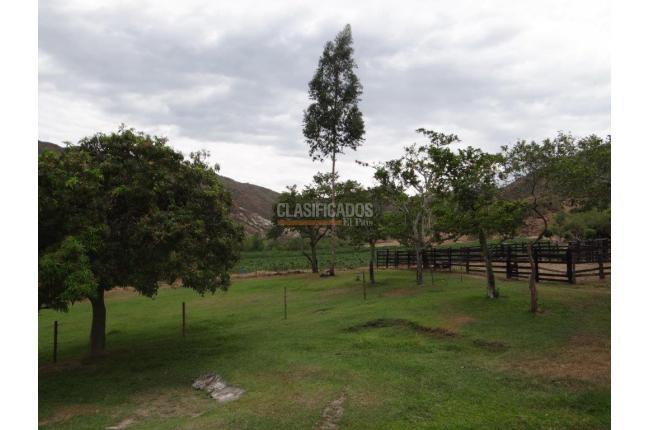 Fincas y Casas Campestres, Venta, Bolívar - $2.800.000.000