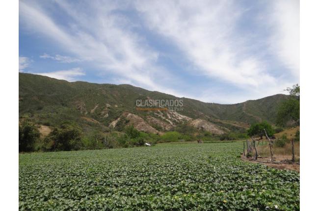 Fincas y Casas Campestres, Venta, Bolívar - $2.800.000.000