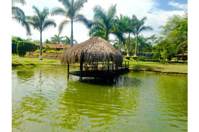 Fincas y Casas Campestres, Alquiler, Palmira - $1.200.000