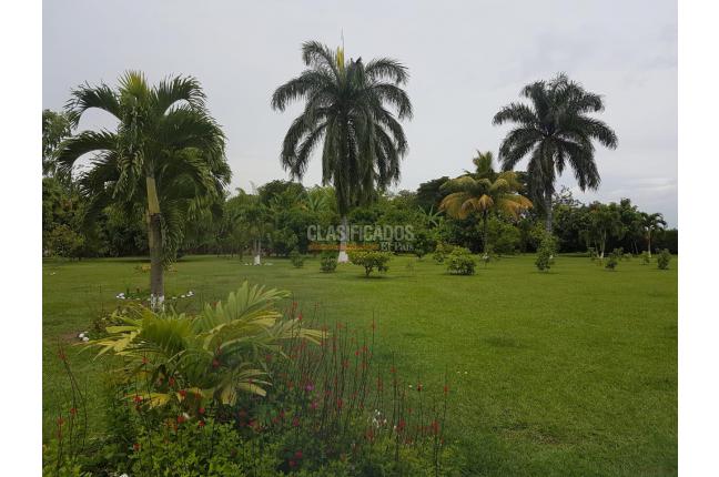 Fincas y Casas Campestres, Venta, Palmira - $1.800.000.000