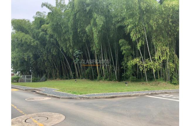 Casas, Venta, Las Mercedes