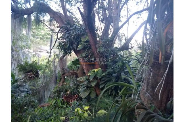 Casas, Venta, Aguacatal - $1.200.000.000