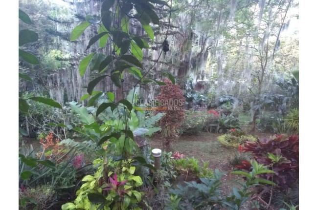 Casas, Venta, Aguacatal - $1.200.000.000