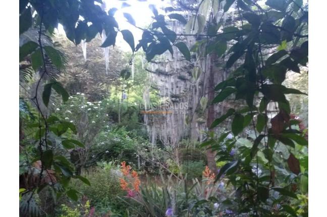 Casas, Venta, Aguacatal - $1.200.000.000