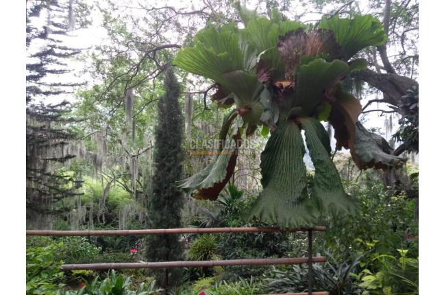 Casas, Venta, Aguacatal - $1.200.000.000