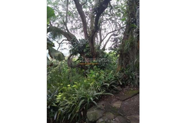 Casas, Venta, Aguacatal - $1.200.000.000