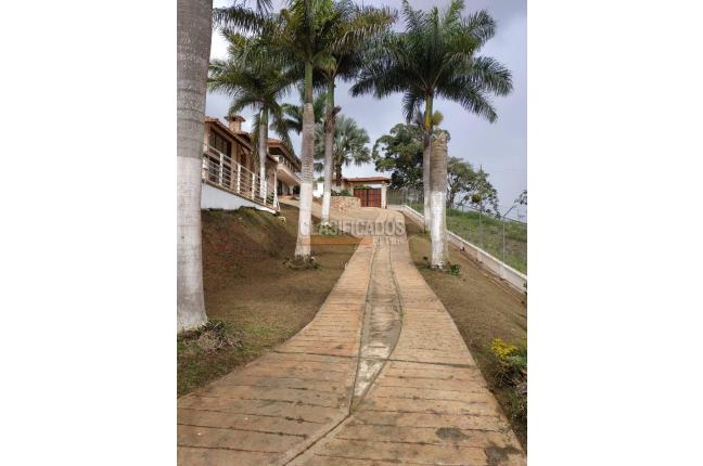 Fincas y Casas Campestres, Venta, Calima (Darién) - $1.600.000.000