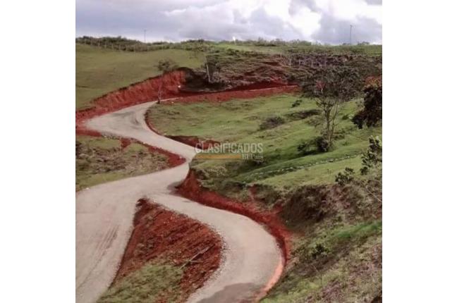 Lotes, Venta, Calima (Darién) - $750.000.000