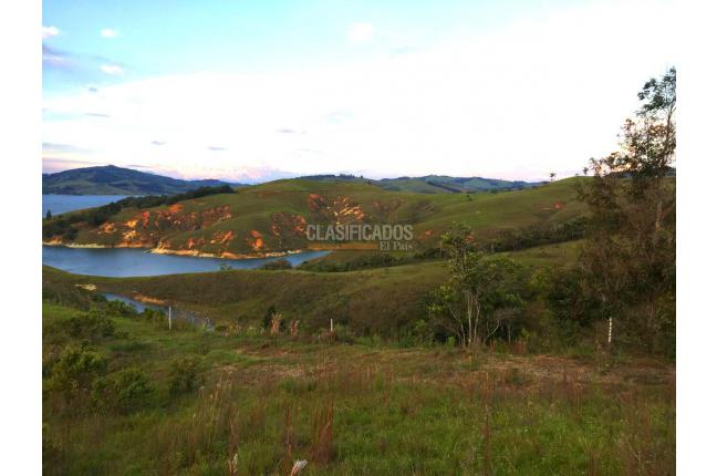 Lotes, Venta, Calima (Darién) - $750.000.000