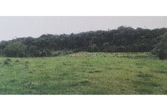 Lotes, Venta en Pance