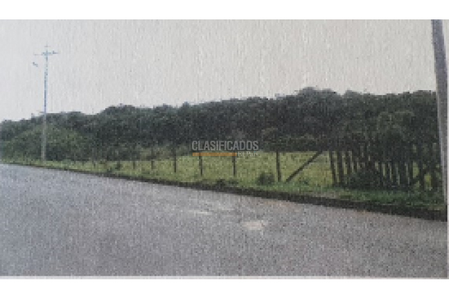 Lotes, Venta en Pance