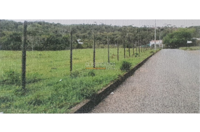 Lotes, Venta, Pance - $3.395.000.000