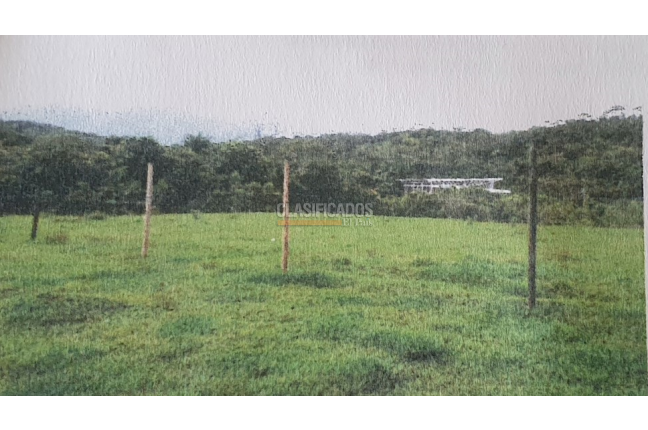 Lotes, Venta, Pance - $3.395.000.000