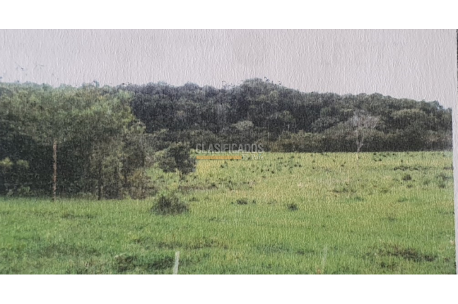 Lotes, Venta, Pance - $3.395.000.000