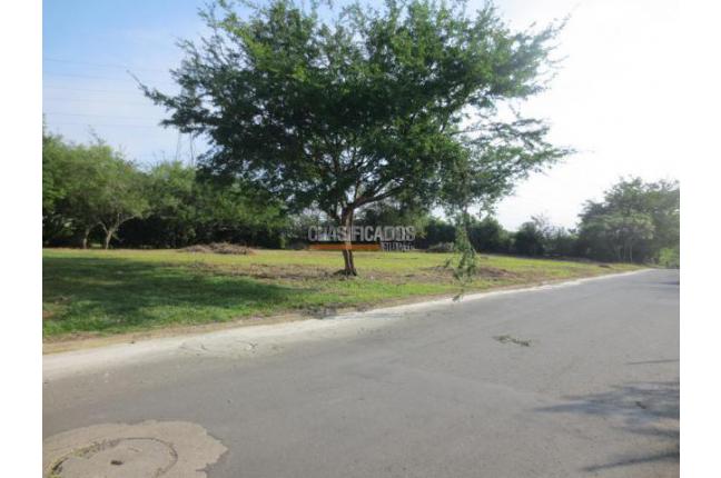 Lotes, Venta, Pance - $1.936.684.800