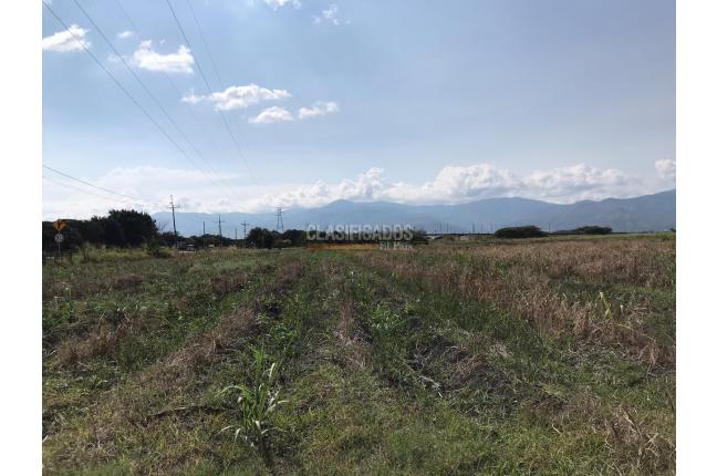 Lotes, Venta, Palmira - $8.000.000.000