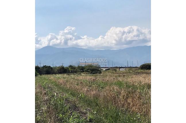 Lotes, Venta, Palmira - $8.000.000.000