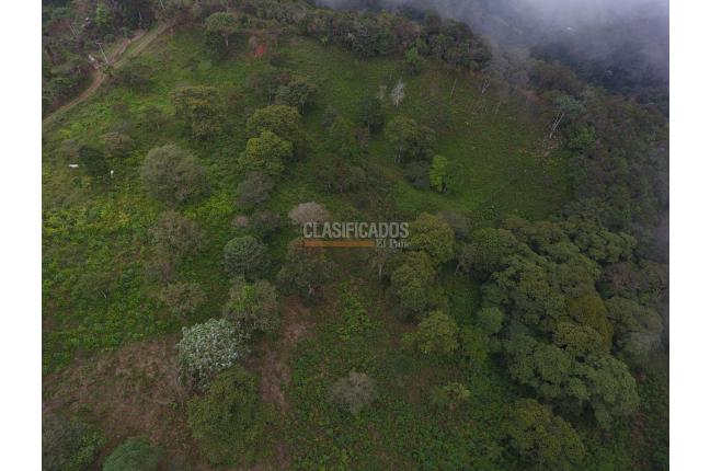 Lotes, Venta en Dagua