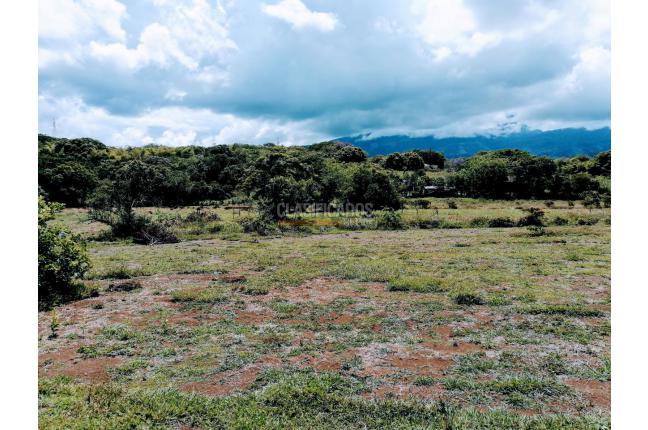Fincas y Casas Campestres, Venta, Jamundí
