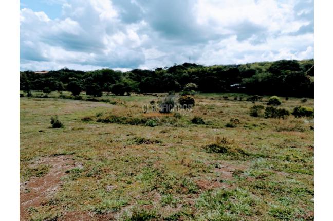 Fincas y Casas Campestres, Venta, Jamundí