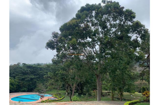 Casas, Venta, Pance - $3.500.000.000