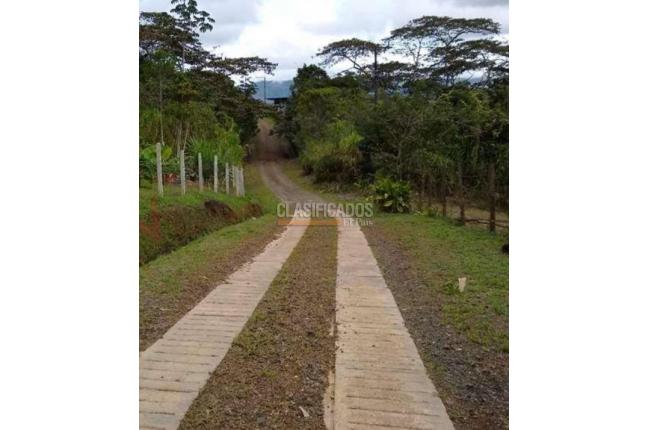 Lotes, Venta, Dagua - $240.000.000