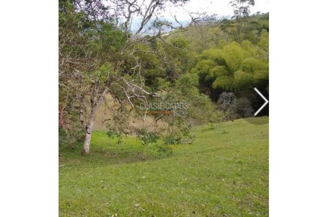 Lotes, Venta, Dagua - $240.000.000