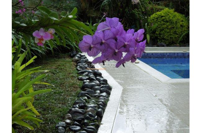 Casas, Venta, Pance - $1.800.000.000