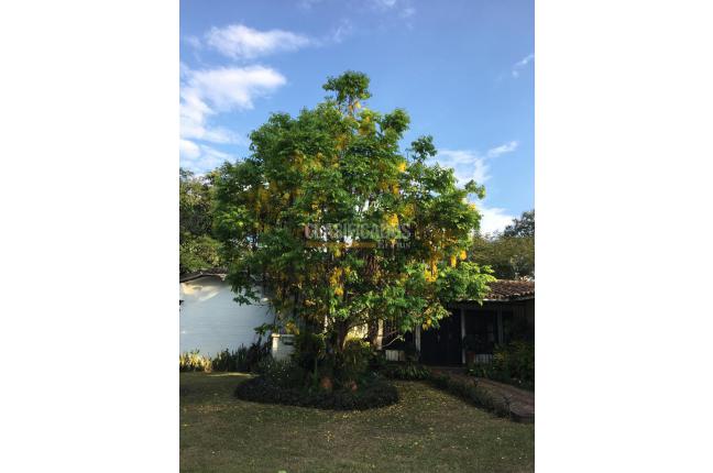 Casas, Venta, Pance - $3.075.000.000