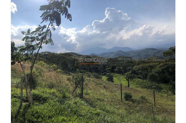 Lotes, Venta en La Riverita