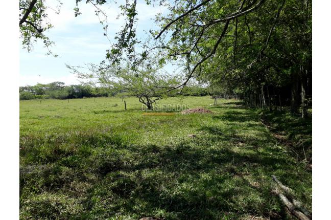 Lotes, Venta en Jamundí