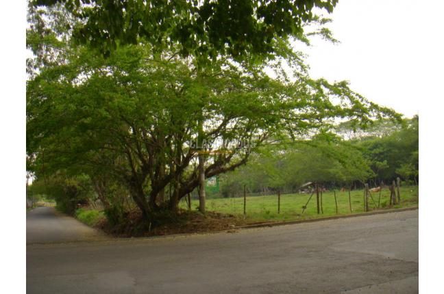 Lotes, Venta en Pance