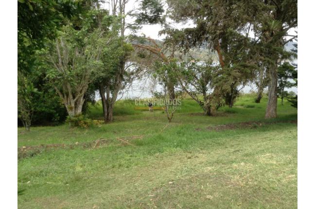 Fincas y Casas Campestres, Venta, Calima (Darién) - $1.300.000.000