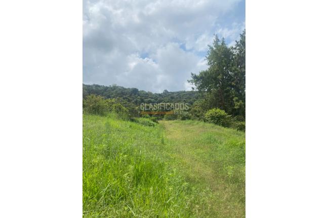 Lotes, Venta, Dagua - $250.000.000