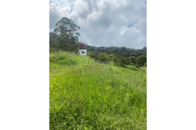 Lotes, Venta, Dagua - $250.000.000